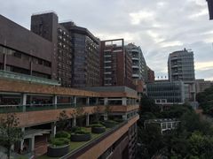-香港大学