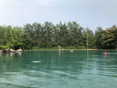 -柳浪游泳场