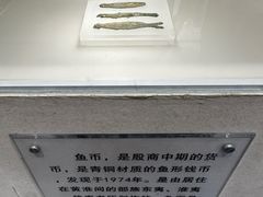 -秦始皇帝陵博物院(兵马俑)