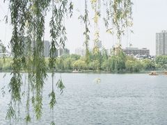 -莫愁湖公园