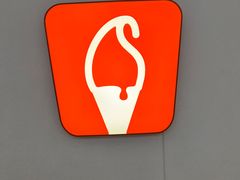 -野人先生现做冰淇淋(北京王府井东方新天地店)