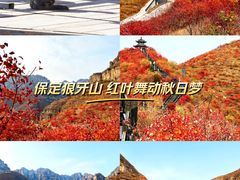 -狼牙山风景区