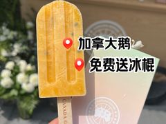 -Canada Goose加拿大鹅(北京三里屯太古里店)