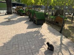 -保定市动物园