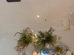 -春树下·树屋花房西餐厅(罍街AS1980店)