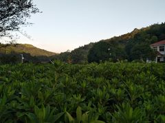 -石燕湖生态旅游景区