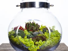-荷兰布尔玛国际花艺学院