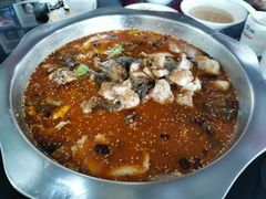 -姚树人麻辣鱼火锅(福泰路店)