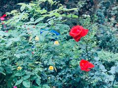 -人民公园(罗湖区)