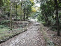 -仙霞关景区