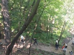 -香炉山国家森林公园