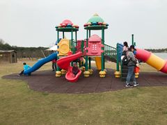 -上海都市菜园