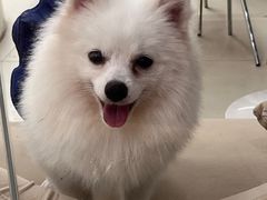 -怪兽屋·羊驼·猫咖·狗咖(俊华广场店)