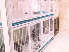 -多卡布奇宠物生活馆(上林世家店)