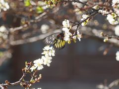 -厦门园林博览苑