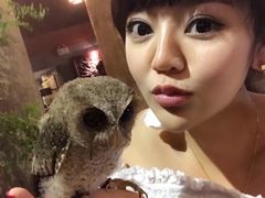 -清迈夜间动物园