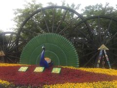 -呀路古热带植物园