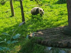 -西安秦岭野生动物园