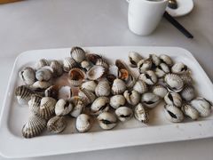 血蛤-华盛丰温州大排档(东三环南路店)