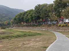 -风云岭森林公园