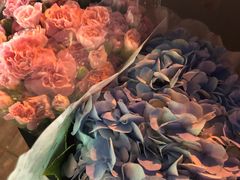 -双季花艺园艺市场(浦东店)