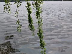 -西湖外事游船(花港观鱼码头)