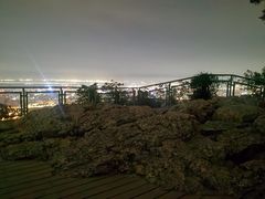 -紫金山山顶公园