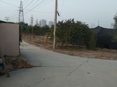 -甜心庄园·甜心草莓采摘园(西青中北店)