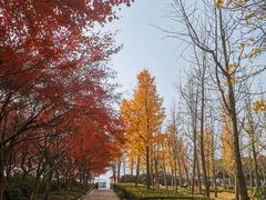 -蠡湖大桥公园