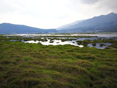 -腾冲北海湿地