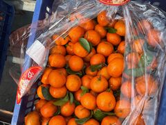 -东方鼎信农副产品交易中心