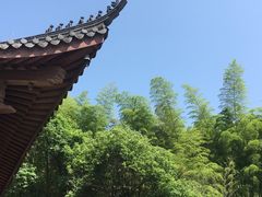 -东明山森林公园