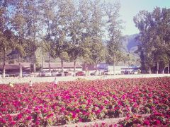 android_upload_pic-百里山水画廊乌龙峡谷