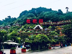 -枇杷园食为鲜火锅(南山店)