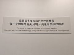 -重庆自然博物馆(新馆)