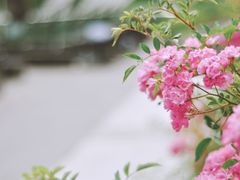 -UNI UNI(环亚凯瑟琳店)