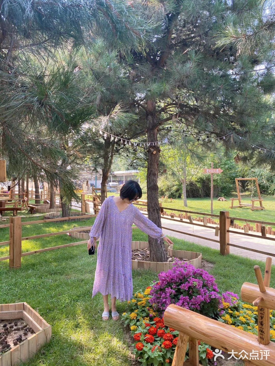 享筑林栖帐篷露营地