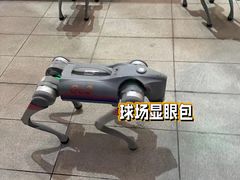 -杭州奥体中心-体育场