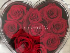 -ROSEONLY诺誓(沈阳万象城店)