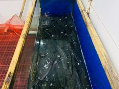 -活鱼馆(宜兴埠店)