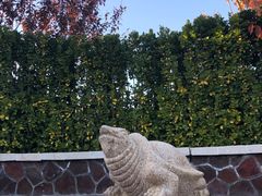 -大连金石滩绿发温泉假日酒店