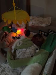 -月来悦好月子中心(东部新城店)