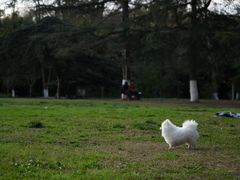 -花溪公园