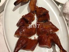 -东富酒家(龙湖西溪天街店)