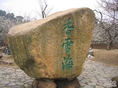 -香雪海