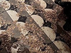 -Long Bar(莱佛士酒店)