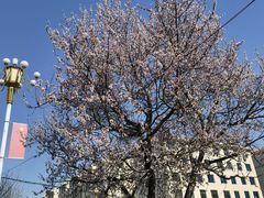 -何记羊汤馆(丽水佳源店)