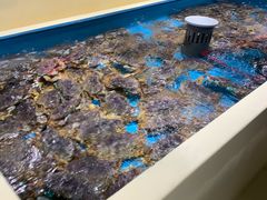 水产区-日进一片海.生腌海鲜火锅.宵夜烧烤(三里屯总店)