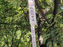 -西安大兴善寺