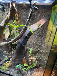 -酷嗒动物文化乐园(cutezoo西溪乐天城店)